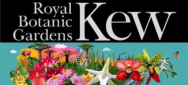 Banner promoting the Orchid Festival at Kew Gardens