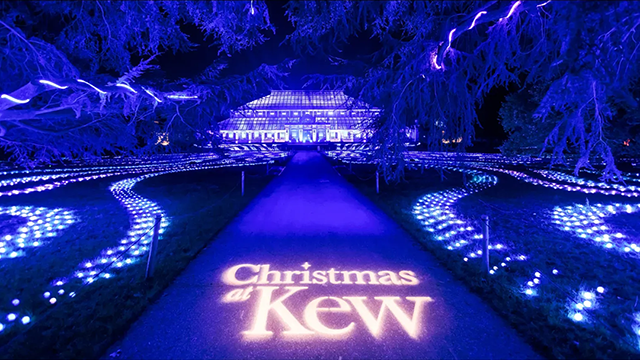 Christmas at Kew 2025. Kew Gardens illuminated by Christmas sparkle.