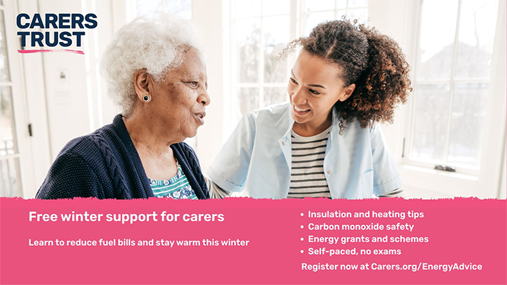 Energy Saving Trust and Carers Trust online advice banner. Image shows a young woman assisting an older woman.