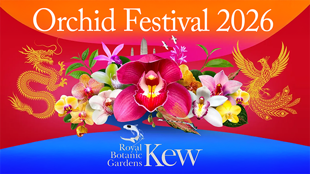 Kew Orchid Festival 2026 banner. Image shows colourful orchids surrounded by Chinese imagery