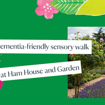 Ham House Blossom dementia friendly walk banner. Green background with the National Trust logo. Image of Ham House Gardens, decorated with flowers.
