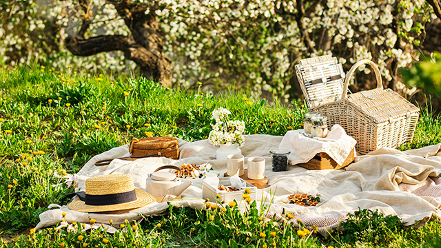 Picnic in the Park – Food Fresh Air Friendship. A grassy meadow with white pettals in the background. Beautiful traditional picnic blanket and basket with food and drink layed out